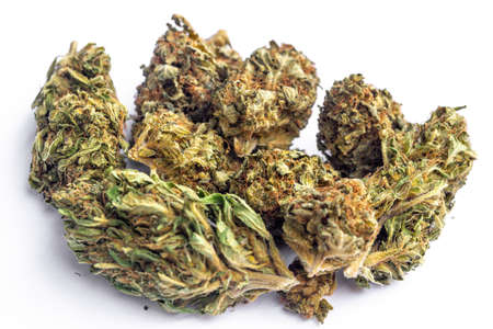 Detail of legal marijuana flowers photographed on clean backgroundの写真素材