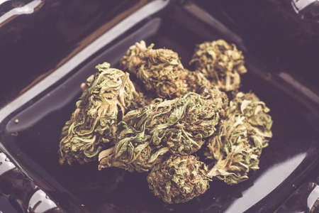 Detail of legal marijuana flowers photographed with a macro lensの写真素材