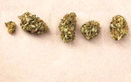 Detail of legal marijuana flowers photographed on paper backgroundの写真素材