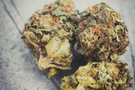 Legal cannabis flowers photographed in detail with a macro lensの写真素材
