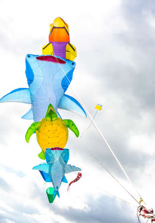 Flying kite with the shape of sea animals, manta, turtle and fish.の写真素材