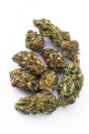Detail of legal marijuana flowers photographed on clean backgroundの写真素材