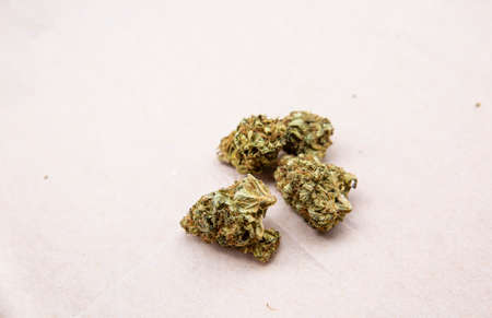 Detail of legal marijuana flowers photographed on paper backgroundの写真素材