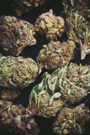Detail of legal marijuana flowers photographed with a macro lensの写真素材