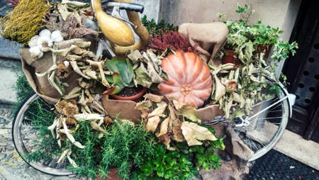 old bicycle decorated with floral composition, vegetables and pumpkinsの写真素材
