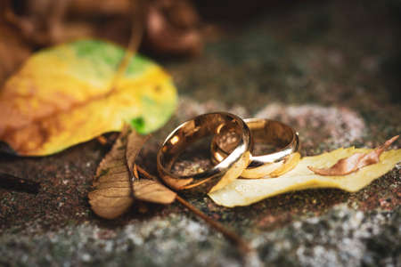 wedding ring with autumn leavesの写真素材