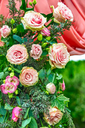 detail of colored rose flowers used as decoration during weddingsの写真素材