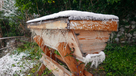 wooden hive for the production of honey covered by the snow of winterの写真素材