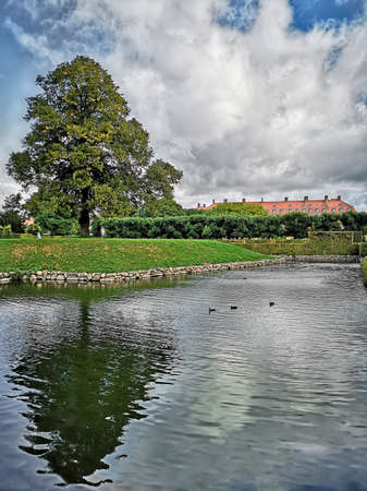 Copenaghen, natural park with tree reflected on the lake - travel reportageの写真素材
