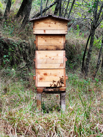 production of honey in a wooden hiveの写真素材