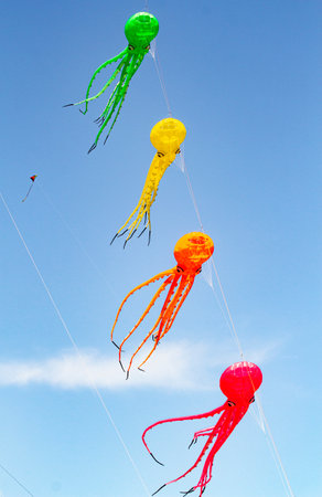 Blue sky with colorful kites with animal shapeの写真素材