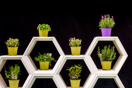 Modern hexagonal shelves with potted aromatic plants, perfect for interior decoration and contemporary design.の写真素材