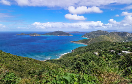 Tropical Caribbean landscape with lush green hills and blue ocean viewsの写真素材