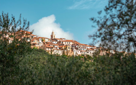Lucinasco Ligurian Village with Olive Trees and Scenic Countrysideの写真素材
