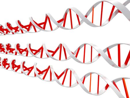 An isolated red and white dna molecules on white backgroundの写真素材