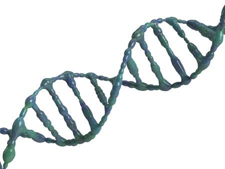 An isolated dna molecule on white backgroundの写真素材