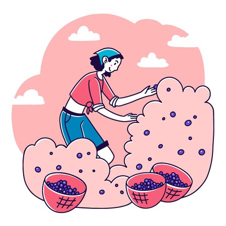 Woman gathering cherries in gardenのイラスト素材