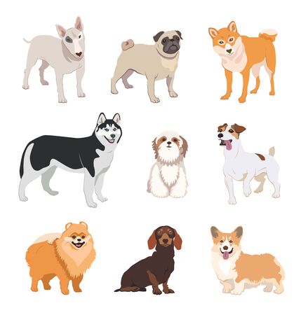 Cartoon dog breeds flat icon collectionのイラスト素材