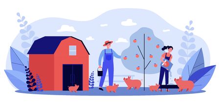 Couple of farmers feeding pigsのイラスト素材