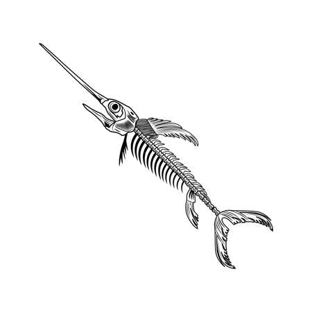 Swordfish bones vector illustrationのイラスト素材