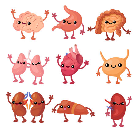 Vector of Funny human organs flat set - ID:1-163641976 - Royalty Free ...