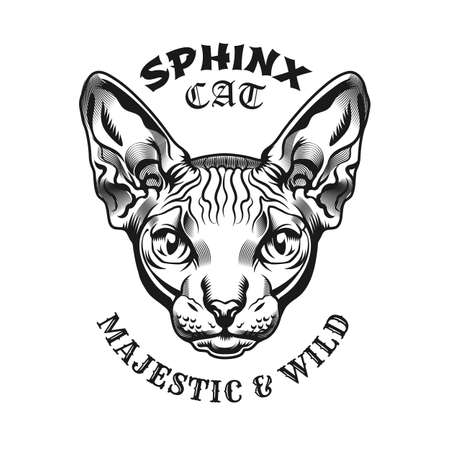 Sphinx head tattoo design. Monochrome element with furless cat vector illustration with text. Egyptian culture or animal concept for symbols and labels templatesのイラスト素材