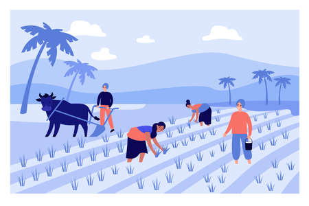 Cartoon people working on Indian farm flat vector illustration. Indian male and female farmers in paddy field tilling the ground surrounded by palms of village. India, farm, agriculture conceptのイラスト素材