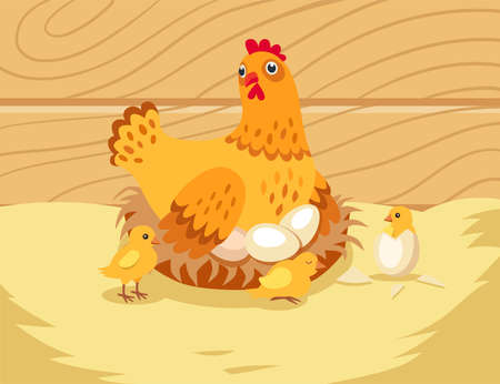 Mother hen sitting on eggs in nest with little chicken. Domestic bird with children in henhouse, eggs hatching vector illustration. Countryside, nature, farm, agriculture conceptのイラスト素材