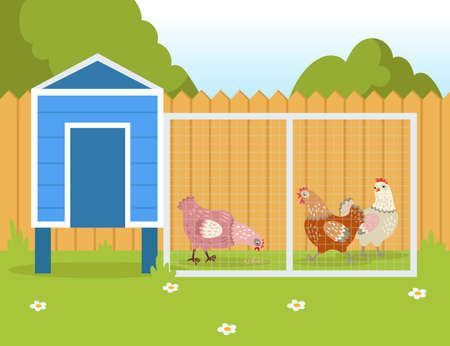 Hens walking outside and pecking seeds. Domestic birds near henhouse or chicken coop in summer flat vector illustration. Countryside, nature, farm, summer, agriculture conceptのイラスト素材