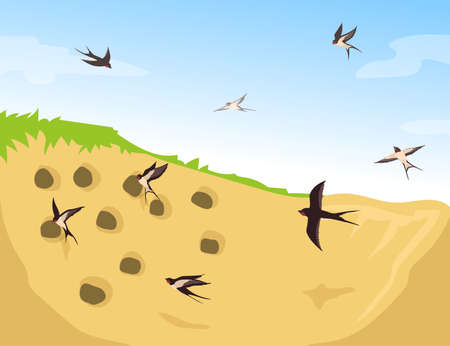 Flock of swallows flying into nests. Cartoon vector illustration. Birds flying to their homes, made in ground holes. Animal, bird, wild nature, flying, home concept for banner design or landing pageのイラスト素材