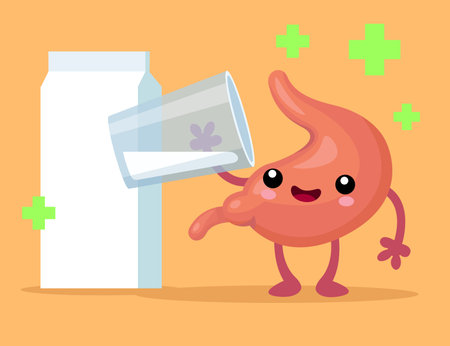 Happy stomach character drinking glass of milk illustration. Carton of milk, positive effect on internal organ, part of digestive system. Health, medicine, healthcare, anatomy, immunity conceptのイラスト素材