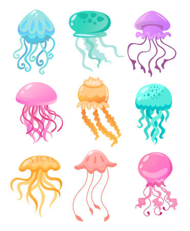 Colorful jellyfish of different shapes vector illustration set. Cute cartoon sea-jellies watercolor collection isolated on white background. Marine animals conceptのイラスト素材