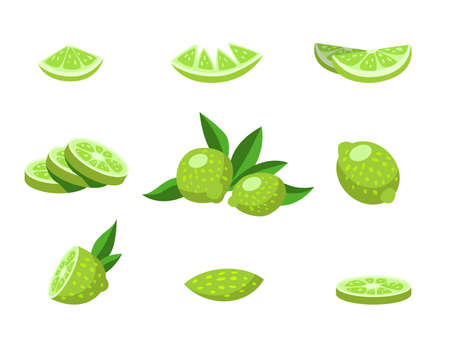Whole and halved lime cartoon illustration set. Sliced green citrus vector illustration collection. Summer, fruit conceptのイラスト素材