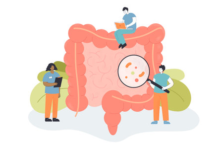 Team of tiny doctors checking bowel for inflammation. People examining intestines or colon, digestive system flat vector illustration. Health, medicine concept for banner or landing web pageのイラスト素材