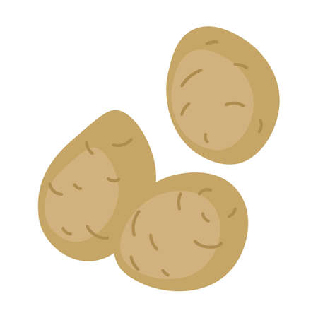potato tubers. Edible vegetable. Cartoon vector isolated on white backgroundのイラスト素材