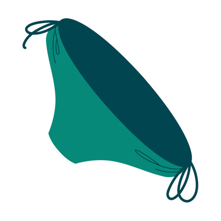 swimsuit bikini and swimwear. Vector illustration of womens underwear. Cartoon bra bikini, panty, knickers, string isolated on whiteのイラスト素材