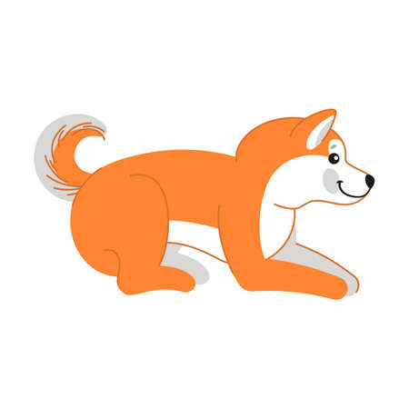 Cute Akita Inu lies resting, puppy character. Vector illustration of Japanese breed of dog. Cartoon kawaii isolated on white. Pet, friendのイラスト素材
