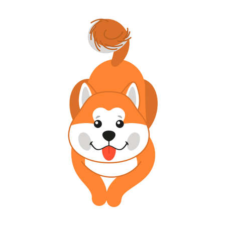 Cute Akita Inu puppy character. Vector illustration of Japanese breed of dog. Cartoon isolated on white. Pet, friendのイラスト素材