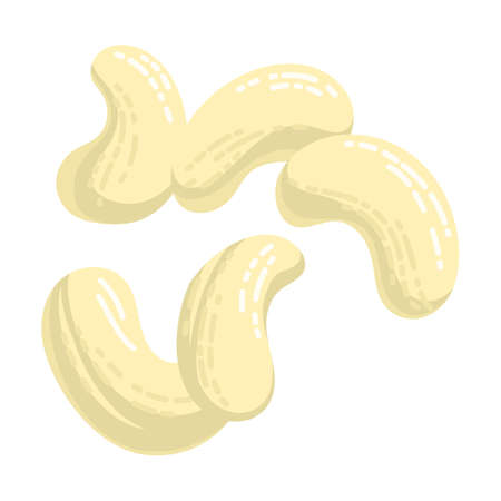 Raw nut cashew. Vector illustration of food. Cartoon almond, hazelnut, pistachio, macadamia, pecan, peanut isolated on whiteのイラスト素材