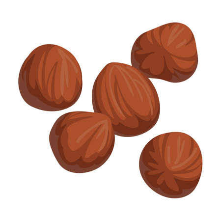 forest hazelnut, Raw nut. Vector illustration of food. Cartoon almond, hazelnut, pistachio, macadamia, pecan, peanut isolated on whiteのイラスト素材