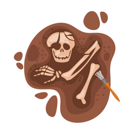 Search and study of ancient human skeleton, grave by archaeologist. Cartoon vector illustration of science artifacts. tools for discoveryのイラスト素材
