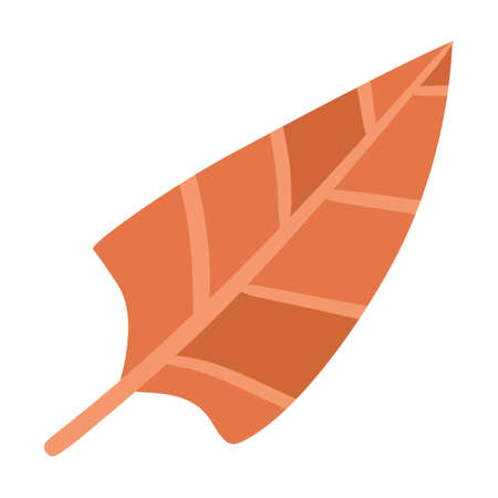 Tropical leaves cartoon illustration. Hand drawn vector illustration on whiteのイラスト素材