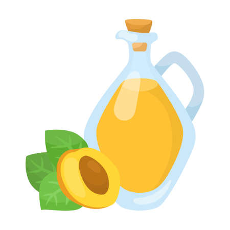 Glass jug with apricot kernel oil. Bottle of vegetable oils cartoon illustration isolated on white backgroundのイラスト素材