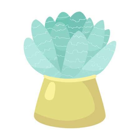 Succulents. Green cactus in flower pot cartoon illustration. Desert plants or home plants on shelves isolated on whiteのイラスト素材