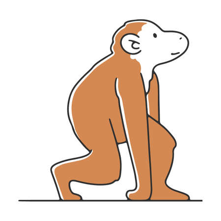 Wild monkey flat vector illustration. Humankind progress from caveman as ancestor. Human evolution theory Anthropology conceptのイラスト素材