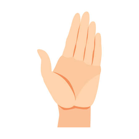 Human hand open palm gesture. Arm and wrists, amount signs, open palm, pointing with finger, greeting, fist. Vector illustration for communication, signalsのイラスト素材