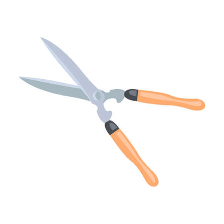 Gardening scissors. Garden tools illustrations in cartoon style. Bright gardening equipment, rake or shovel and lawnmower, farm or rural instrument on whiteのイラスト素材