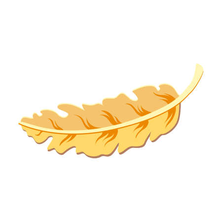Collection of women hair accessories vector illustration. Band and clip, plastic bow, comb, diadem, hairpin isolated on whiteのイラスト素材