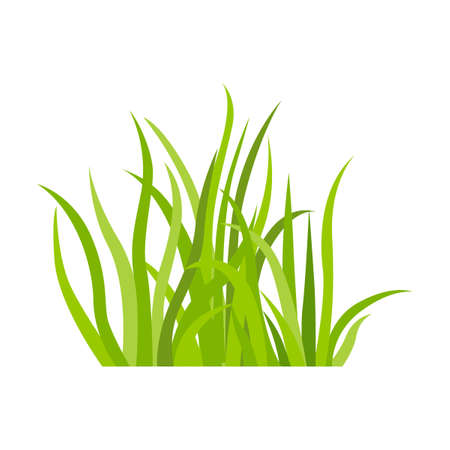 Green grass icon. Nature background vector illustration. Green land concept for template designのイラスト素材