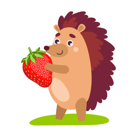 Cartoon hedgehog carries ripe strawberries. Cute wild animal catching butterfly, walking, hugging soulmate, sleeping and holding hazelnut vectorのイラスト素材
